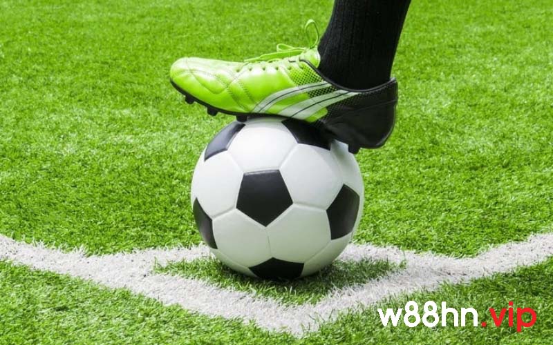 Kèo chấp kèo 1 ¼ vô cùng phổ biến tại nhà cái W88