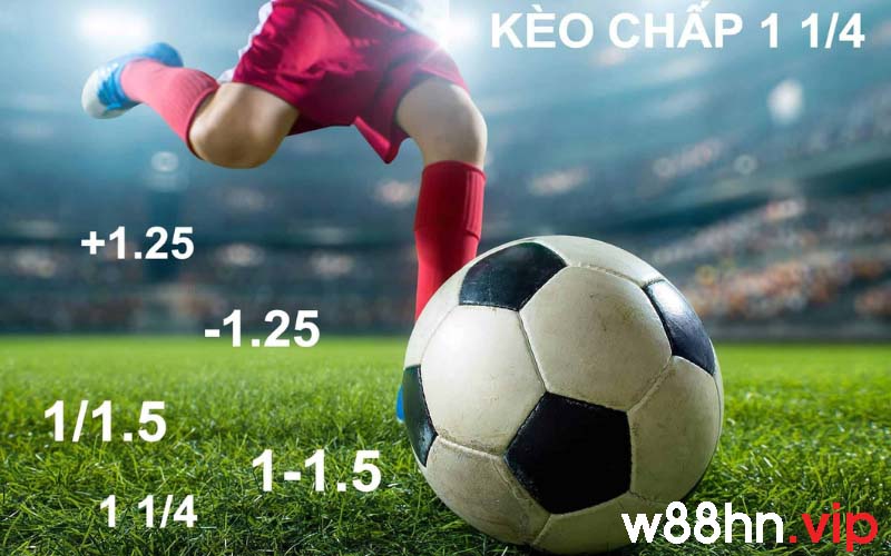 Kèo chấp 1.25 là gì?