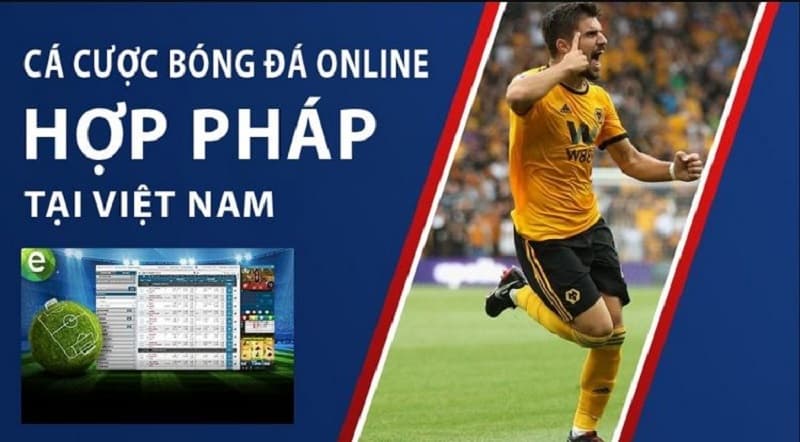 cá cược thể thao hợp pháp cá cược thể thao hợp pháp