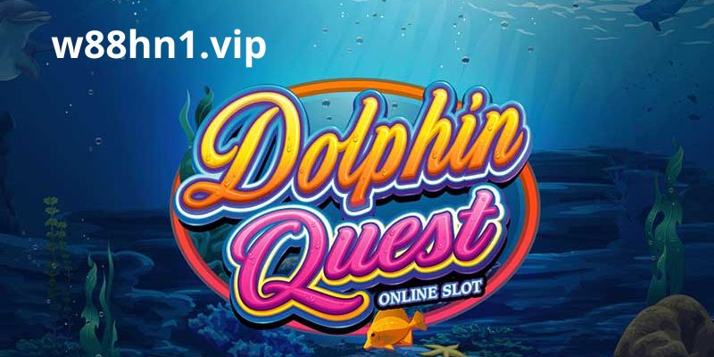 Dolphin Quest
