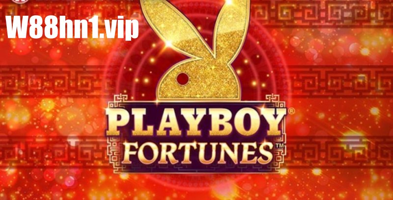 Playboy Fortunes Playboy Fortunes