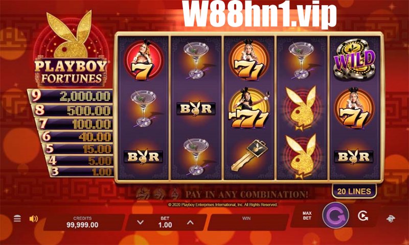 Playboy Fortunes Playboy Fortunes