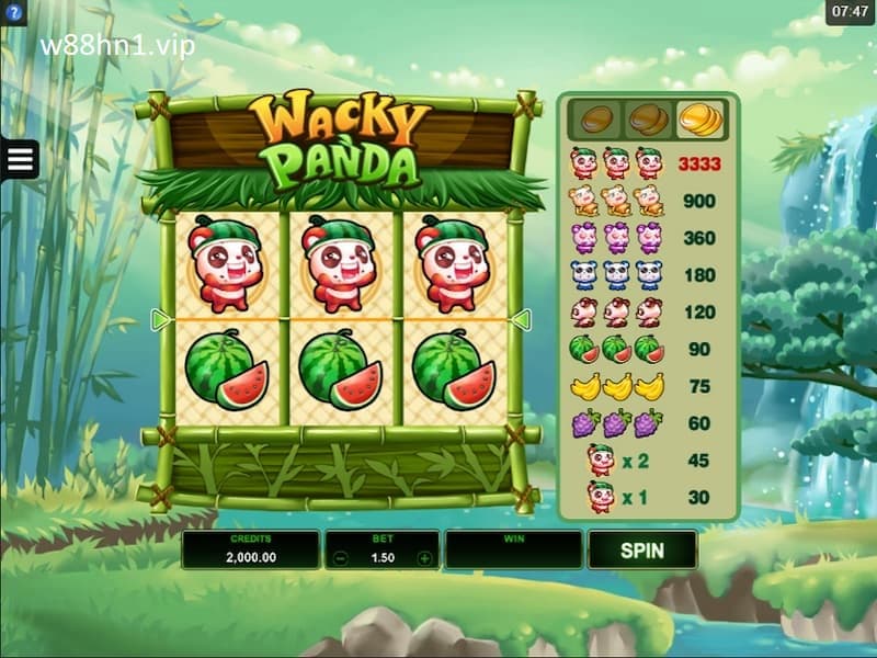Wacky Panda