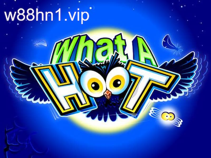 What A Hoot What A Hoot là cái gì