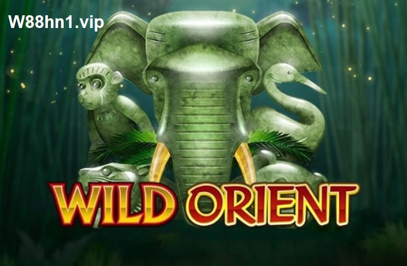 Wild Orient Wild Orient