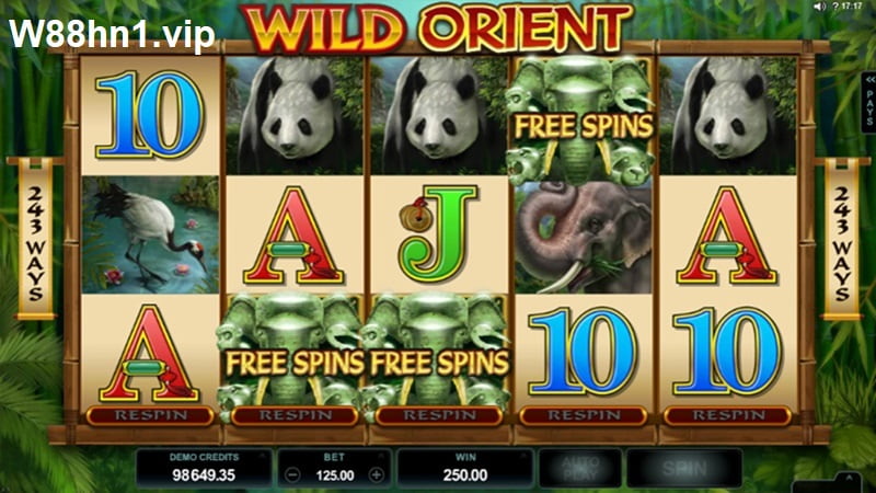 Wild Orient Wild Orient