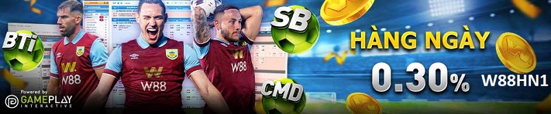 HOÀN TRẢ HÀNG NGÀY LÊN TỚI 0,30% TẠI THỂ THAO
